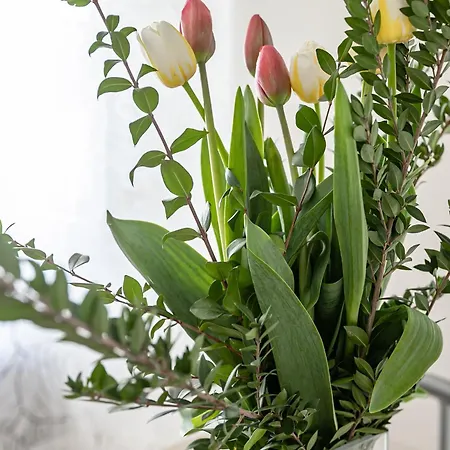 Guesthost - Teatro Massimo Modern * Палермо